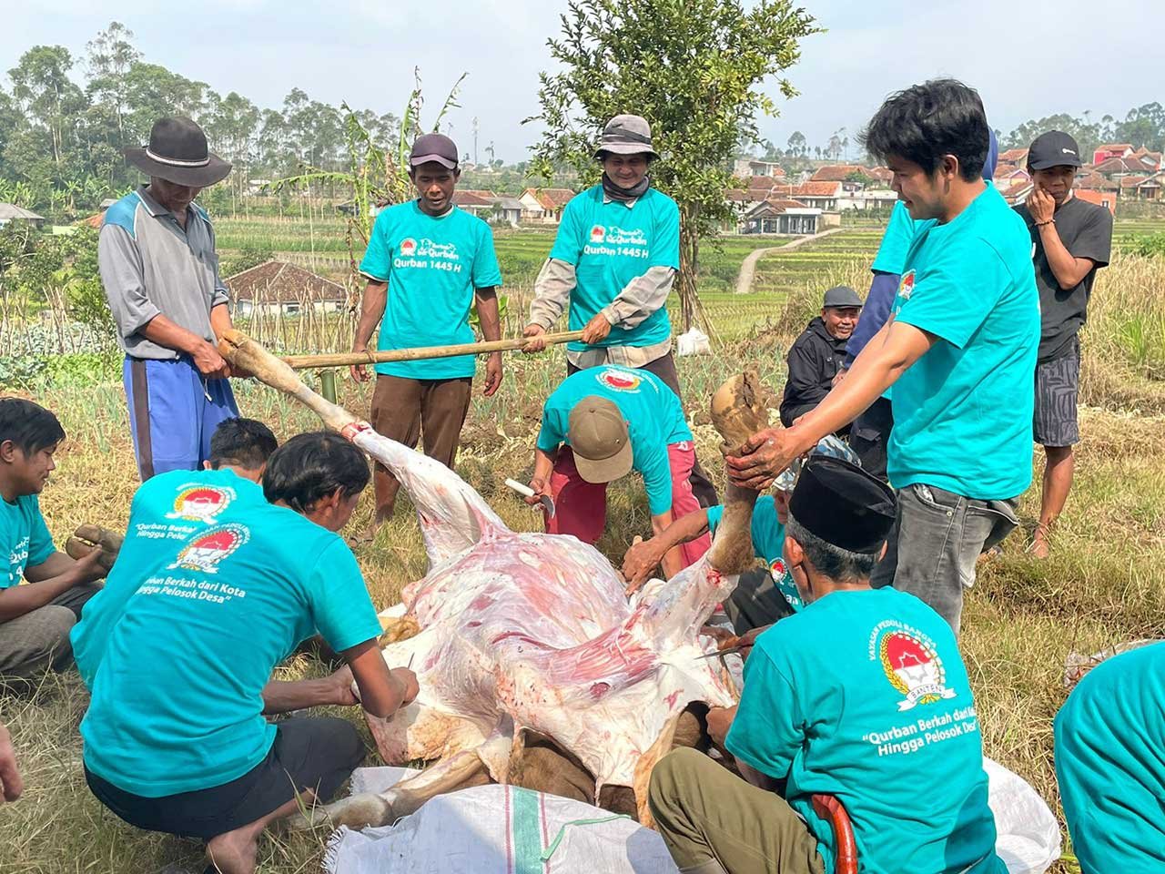Idul Adha 1445H Berbagi - Pemotongan dan Distribusi Qurban Yatim Dhuafa